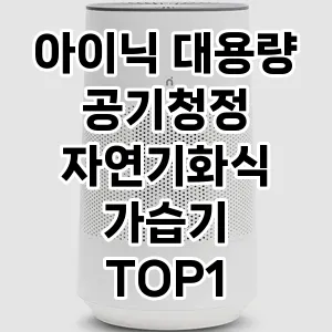 역대급 가성비 아이닉 대용량 공기청정 자연기화식 가습기 추천 베스트 1위