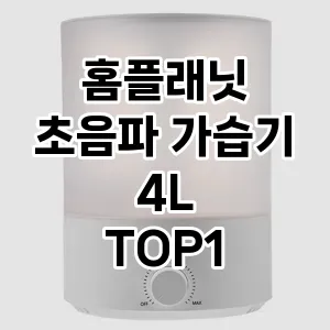 역대급 가성비 홈플래닛 초음파 가습기 4L 추천 베스트 1위